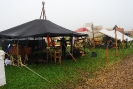 DF2014 - Boro_12